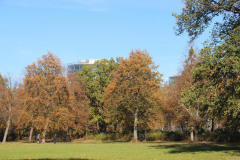 IMG_2771